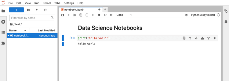 Data Science Notebooks