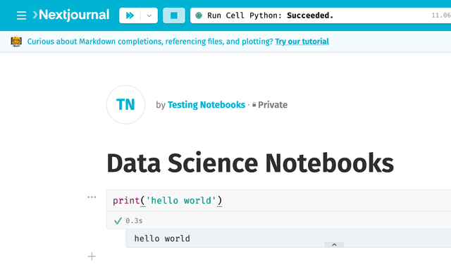 Realtime collaboration in Jupyter notebooks | Data Science Notebooks